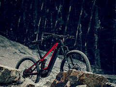 E-MTB