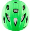 ALPINA Sports XIMO LE (45-49 cm)